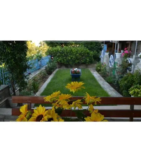 Apartment Nikos Sea View